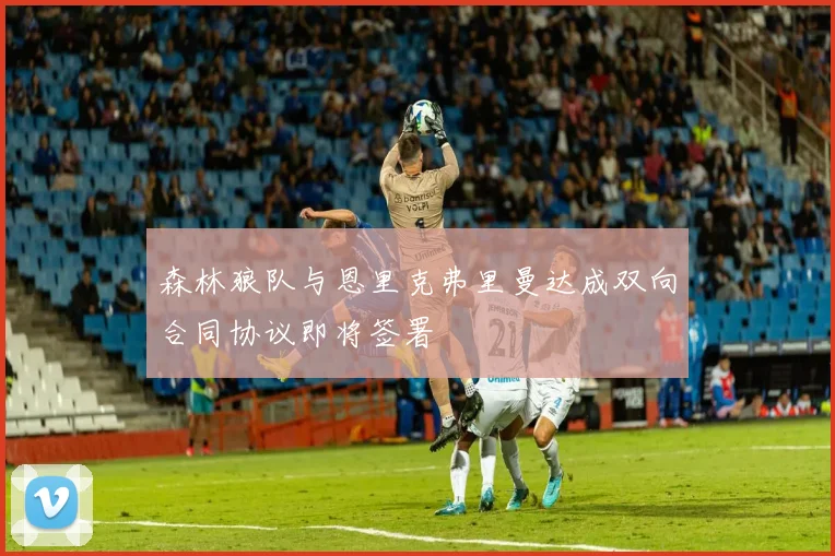森林狼队与恩里克弗里曼达成双向合同协议即将签署